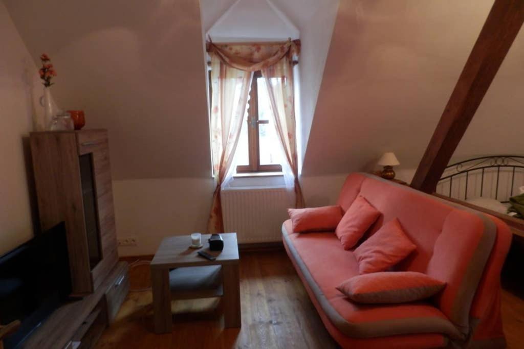 Zamecek Zdiky - Moderni Velky Apartman Bujanov Dış mekan fotoğraf